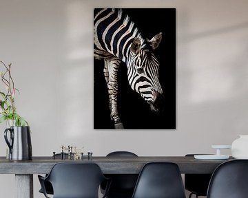 Zebra met een zwarte achtergrond van Design Wall Arts