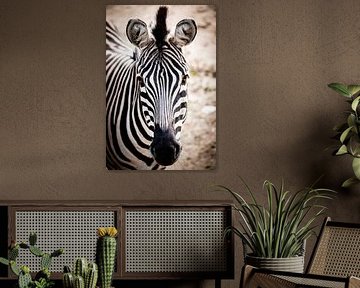 Close-up van een Zebra van Design Wall Arts