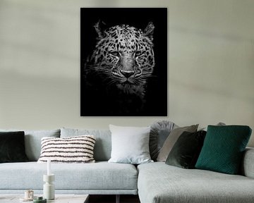 Leopard (Panther) von Edwin Kooren