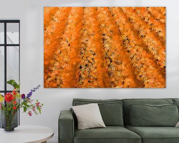 Akker abstract oranje