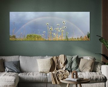 Panorama van regenboog landschap boven bloemen van Gert van Lagen