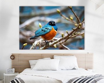 Kleurrijke vogel op een tak