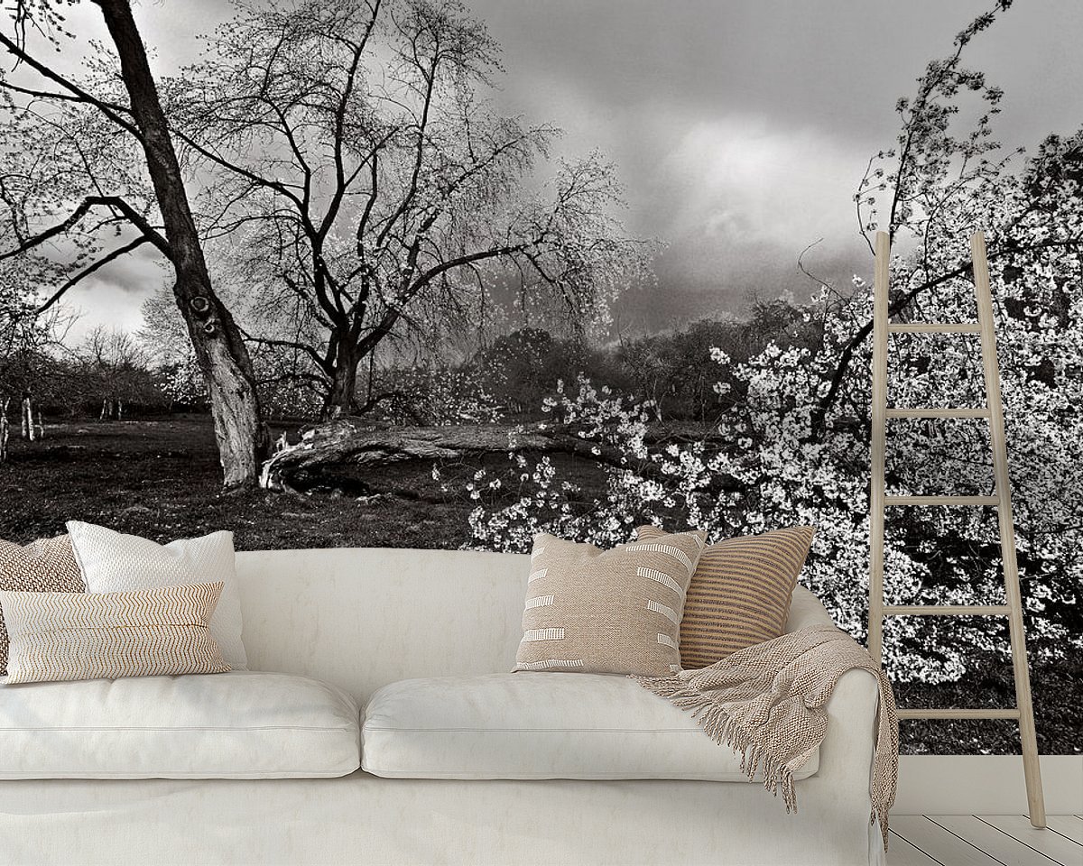 Raumvorschau