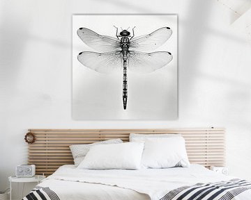 Dragonfly Monochrome by Uncoloredx12