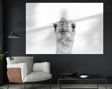 Porträt eines Kamels von Photolovers reisfotografie