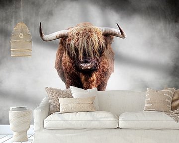 Scottish Highlander by Gianni Argese