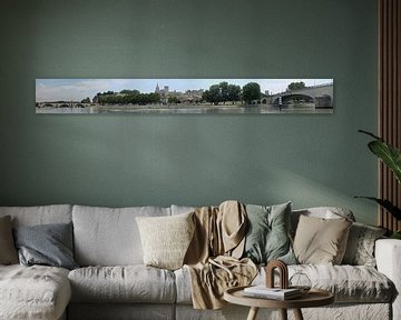 Avignon panorama van Carel van der Lippe