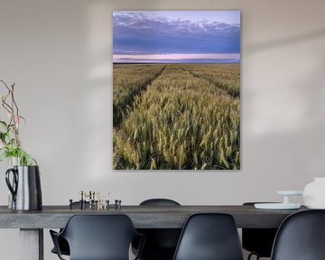 Endless grain fields in evening light by Hillebrand Breuker