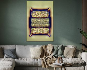 Diatom gold by appie bonis
