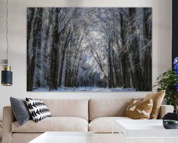 Snow in the woods (Speulderbos) by Moetwil en van Dijk - Fotografie