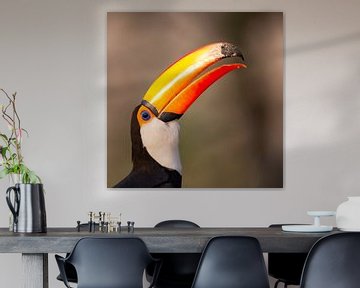 Giant toucan by Hillebrand Breuker