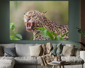 Angry jaguar by Hillebrand Breuker