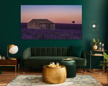 An old shed among the lavender fields after sunset by Hillebrand Breuker