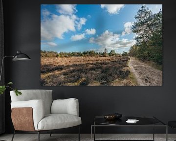 Folgen Sie dem sandigen Pfad zu den Wolken | Garderen, Niederlande