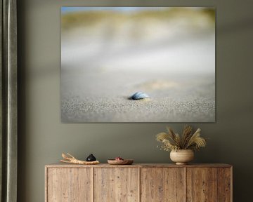 Blurred shell on the beach by Martijn Tilroe
