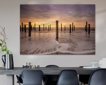 Village de palmiers de Petten sur la plage dans l'eau de mer sur KB Design & Photography (Karen Brouwer)