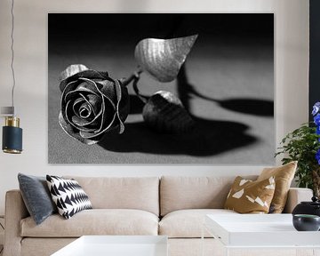 Métal rose Noir Blanc en lumière naturelle