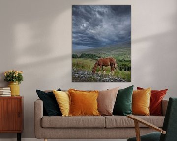 Grazing horse and looming rain clouds. Ireland by Albert Brunsting