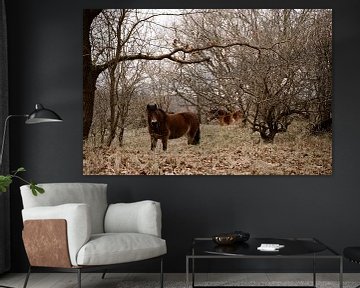 Wild horses van Chantal de Graaff