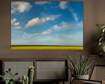 Rapeseed fields in eastern Groningen by Hillebrand Breuker