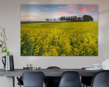 Sunset rapeseed field with Borg by Hillebrand Breuker