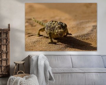 Namaqua kameleon op pad in de Namibwoestijn by Christel Nouwens- Lambers