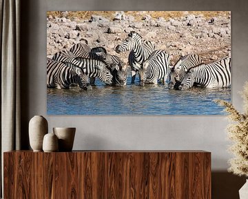 Zebras at the waterhole in Namibia by Roland Brack