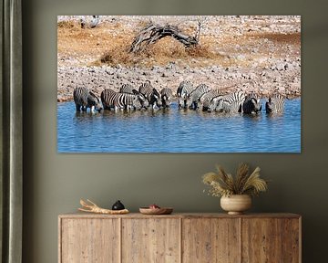 Zebras at the waterhole in Namibia by Roland Brack