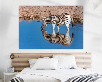 Zebras at the waterhole in Namibia by Roland Brack