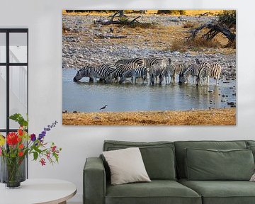 Zebras am Wasserloch in Namibia von Roland Brack