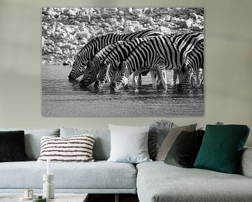 Zebras at the waterhole in Namibia by Roland Brack