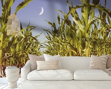 Great times ahead by Irie Wata