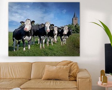 Nieuwsgierige koeien in weiland Friesland. van Albert Brunsting