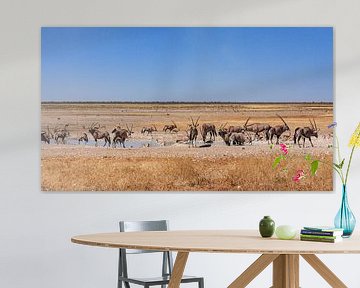 Oryx Antilopen in Namibia von Roland Brack