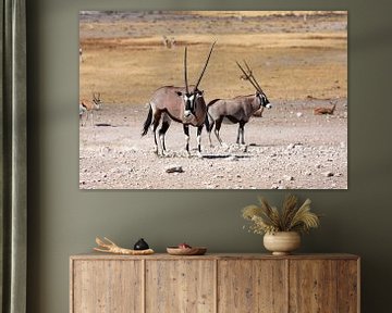 Oryx-antilopen in Namibië van Roland Brack