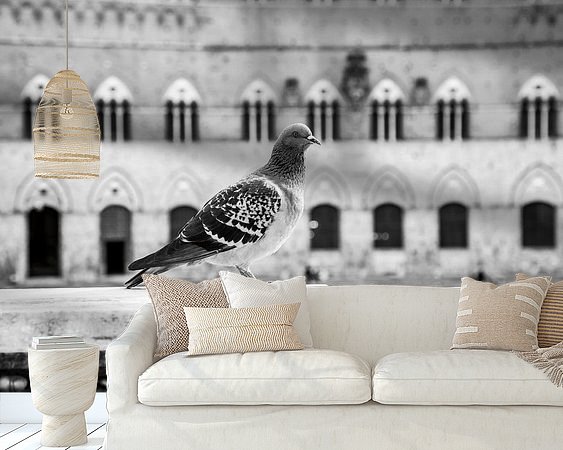 Aperçu de la chambre