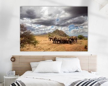 Herd of elephants in the savannah Kenya, Africa by Fotos by Jan Wehnert