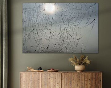Spinnenweb met dauwdruppels van Michel van Kooten