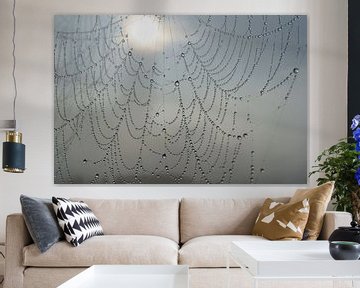 Spinnenweb met dauwdruppels by Michel van Kooten