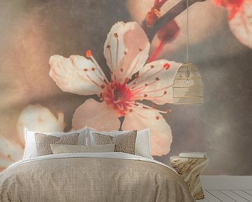 Macro blossom branch by Ilya Korzelius