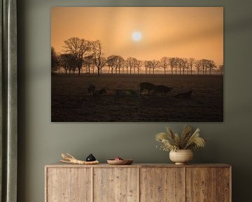 Sunrise Countryside Cows by Zwoele Plaatjes