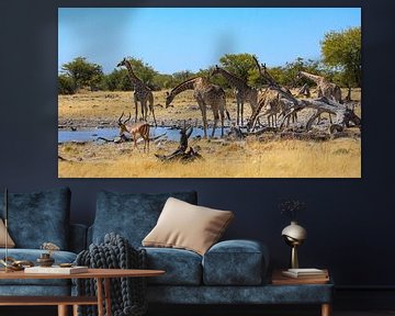 Giraffen in der Savanne von Namibia von Roland Brack