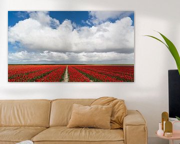 Tulip fields with Dutch clouds by Hillebrand Breuker