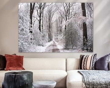Schnee auf dem schönen Waldweg Veluwe von Esther Wagensveld