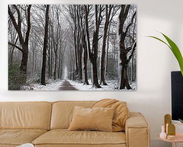 Neige sur la belle allée forestière de la Veluwe sur Esther Wagensveld