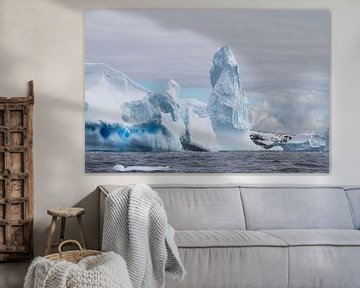 Icebergs around Spert Island by Hillebrand Breuker