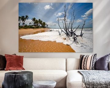 Strand met palmbomen, kust van Sri Lanka van Jan Fritz