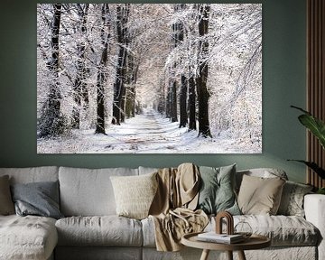 Le Veluwe en blanc, une belle couche de neige sur les arbres sur Esther Wagensveld