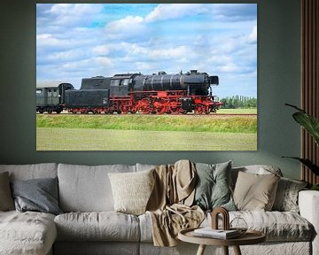 Stoomtrein met zwarte en rode locomotief rijdt op het platteland van Sjoerd van der Wal