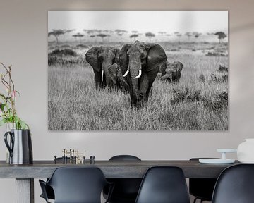 Elephants in the Masai Mara by Roland Brack